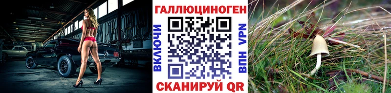 Псилоцибиновые грибы GOLDEN TEACHER  MEGA ССЫЛКА  Палласовка  где можно купить наркотик 